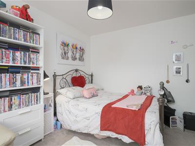 Picture 19